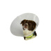 Límec ochranný BUSTER plastový Classic Collar 12,5cm