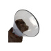 Límec ochranný BUSTER plastový Comfort Collar 12,5cm
