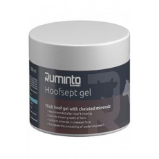 Hoofsept gél 400g + štetec