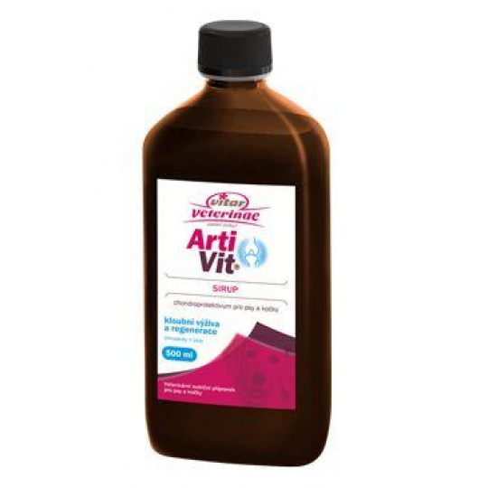 VITAR ArtiVit Sirup 500ml