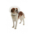 Ochranný golier BUSTER plastový Clic Collar 35cm