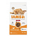 Iams Cat Adult Indoor Chicken 2kg