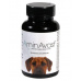 AminAvast 1000 mg 60 cps. pes