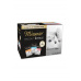Miamor Cat Ragout kapsa Multi, krůta+losos+te 3x4x100g
