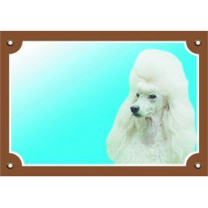 Farebná ceduľka Pozor pes, Pudl svetlý