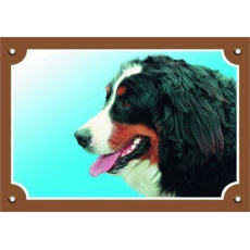 Farebná ceduľka Pozor pes, Bernský salašnícky pes