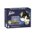 Nestlé FELIX Fantastic cat Multipack výber so zeleninou želé kapsička 12x85 g