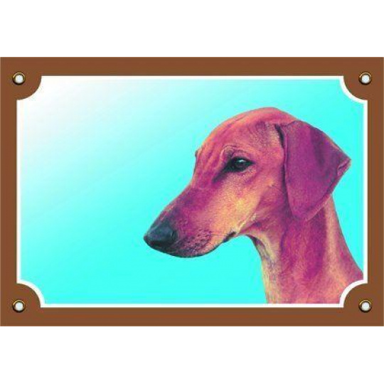 Farebná ceduľka Pozor pes, Azavak Farebná ceduľka Pozor pes, Azavak