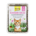 GimCat Katzen-Gras mačacia tráva s lúčnou vôňou 150g
