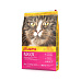 Josera Cat Indoor GF 10 kg