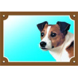 Barevná cedulka Pozor pes, Jack Russel terier