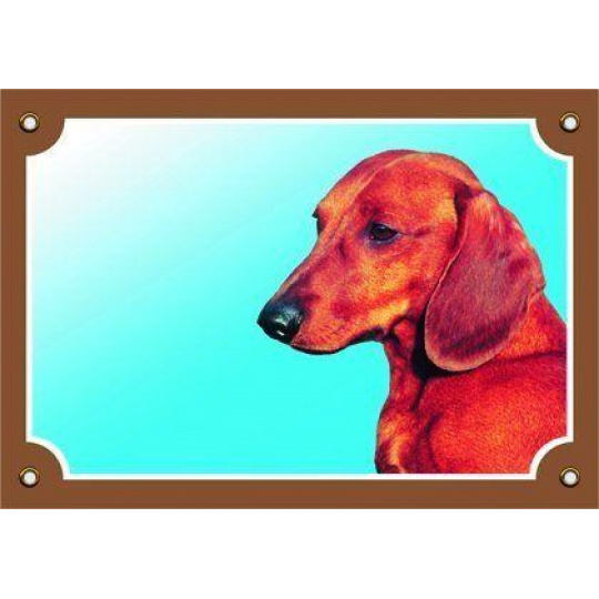 Farebná ceduľka Pozor pes, Jazvečík hladkosrstý Farebná ceduľka Pozor pes, Jazvečík hladkosrstý