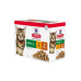 Hill's Fel. SP Kitten Chicken&Turkey kapsička 12x85g