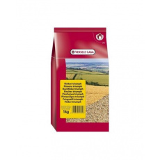 VL Canaryseed White - Lesknica kanárska 1 kg