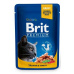Brit Premium Cat kapsička s lososom a pstruhom 100g