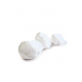 Tampon stáčený 25x25mm 500ks CVET