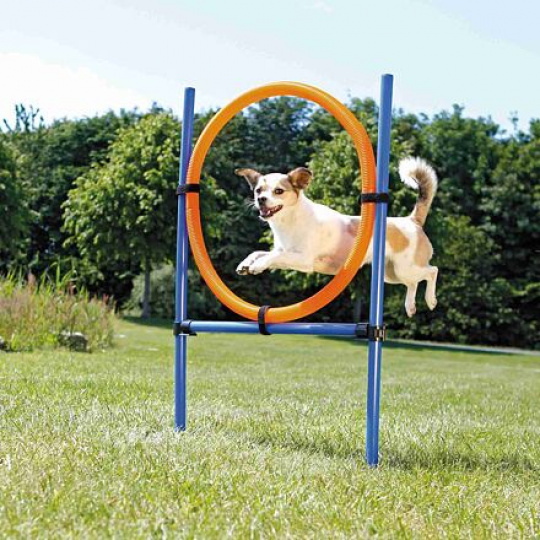 AGILITY kruh pre skákanie AGILITY kruh pre skákanie