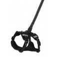 Postroj pes s vodítkom 2m CLIP&GO čierna XL Zolux