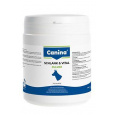 Canina Schlank&Vital 500g