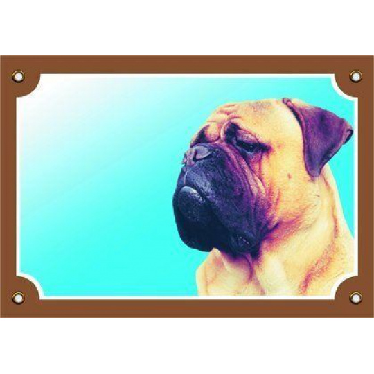 Farebná ceduľka Pozor pes, Bullmastif