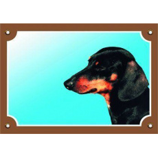 Farebná ceduľka Pozor pes, Jazvečík hladkosrstý čierny