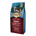 Carnilove Cat Salmon & Turkey for Adult 6 kg