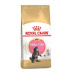 Royal Canin Breed Feline Kitten Maine Coon 400g