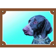 Farebná ceduľka Pozor pes, Nemecký krátkosrstý stavač