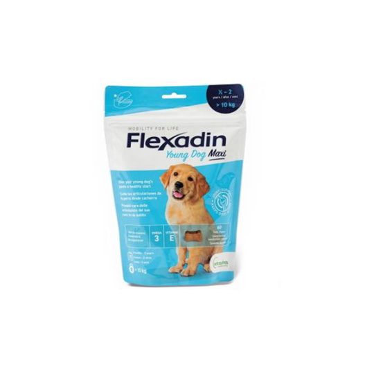 Flexadin Young Dog Maxi žuvacie tablety.tbl. 60 tbl.