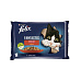 Nestlé FELIX Fantastic cat Multipack hovädzie&kuracie želé kapsička 4x85 g