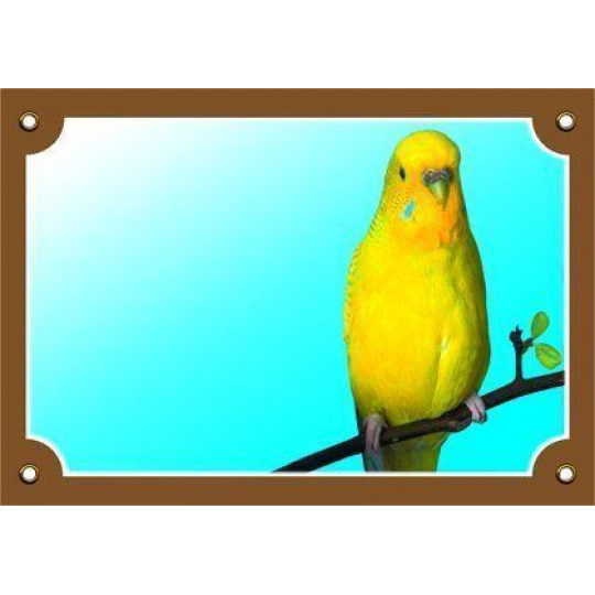 Farebná ceduľka Pozor pes, Andulka žltá Farebná ceduľka Pozor pes, Andulka žltá