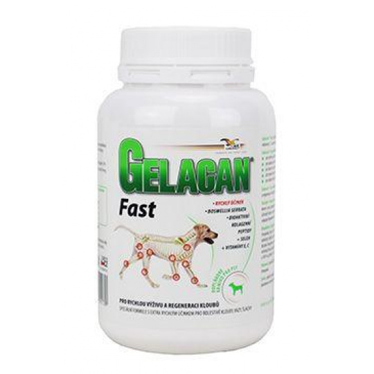 Gelacan Fast 150g Gelacan Fast 150g