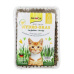 GimCat Hydro-Grass mačacia tráva 150g