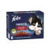 Nestlé FELIX Fantastic cat Multipack mäsový výber želé kapsička 12x85 g