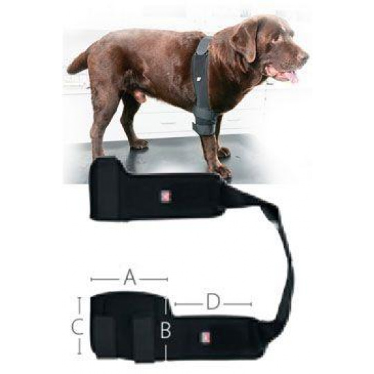 Bandáž Rehab Pro na lakeť pre psa KRUUSE M ľavá Bandáž Rehab Pro na lakeť pre psa KRUUSE M ľavá