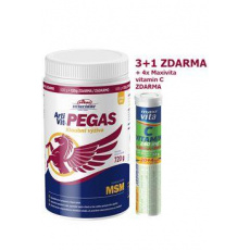 VITAR Veterinae ArtiVit Pegas MSM 720g