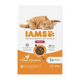 Iams Cat Adult Indoor Chicken 10kg