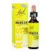 RESCUE REMEDY Krízové kvapky 20ml