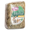 LOLOpets seno pre hlodavce 250 g