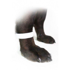 Páska označovacia 1,9cm biela, 500ks CVET