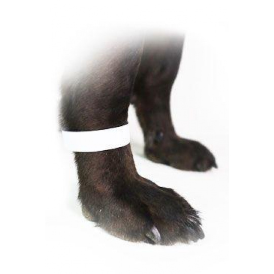 Páska označovacia 1,9cm biela, 500ks CVET