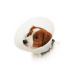Ochranný golier BUSTER nepriehľadný Classic Collar 20cm