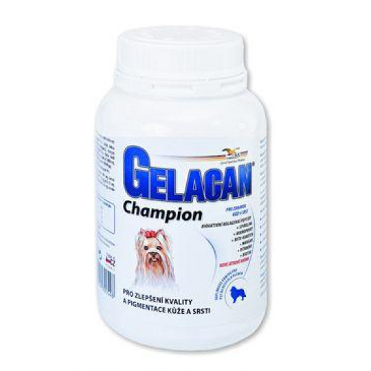 Gelacan Champion psi farebné plemená 150g