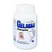 Gelacan Champion psi farebné plemená 150g