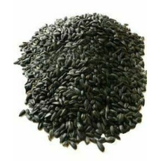 Avicentra slunečnice černá 16kg