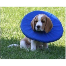 Límec ochranný měkký Tepaw vel.4 vnější pr.38cm Límec ochranný měkký Tepaw vel.4 vnější pr.38cm
