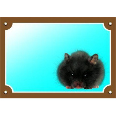 Farebná ceduľka Pozor pes, Škrečok