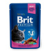 BRIT Premium cat Kapsička Adult Chicken & Turkey 100 g