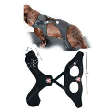 Bandáž Rehab Pro na koleno pre psa KRUUSE XXS ľavá Bandáž Rehab Pro na koleno pre psa KRUUSE XXS ľavá