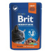 Brit Premium Cat kapsička Salmon for Sterilised 100g
